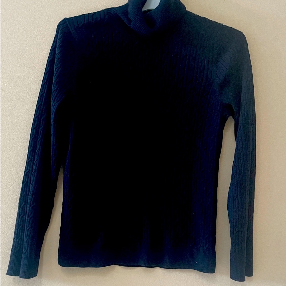 Elegant Black Turtleneck Sweater
